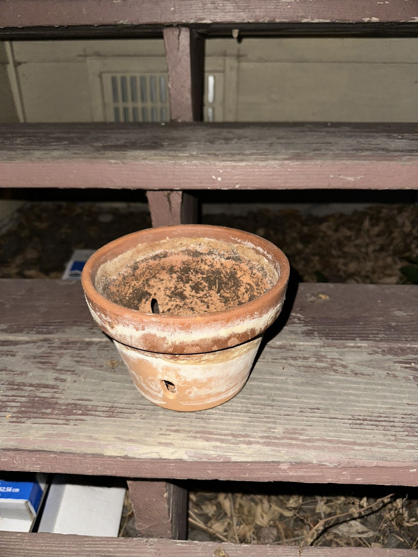 Flower Pot 