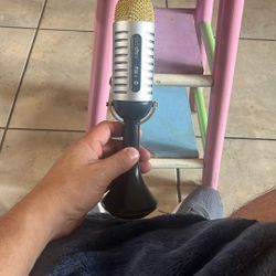 Gold Handheld Microphone 