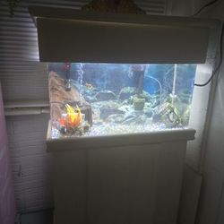 Fish Tank