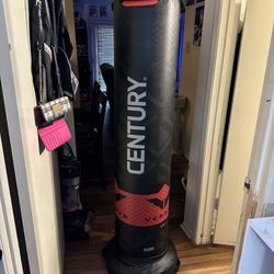 Punching Bag