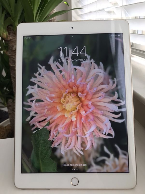 9.7” iPad 5 (WiFi version with larger 128 GB storage capacity) - $315 OBO