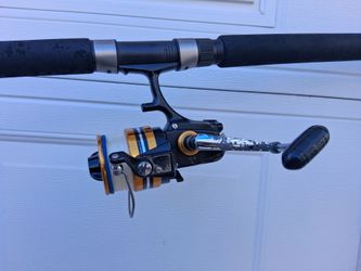 Fishing Pole and reel