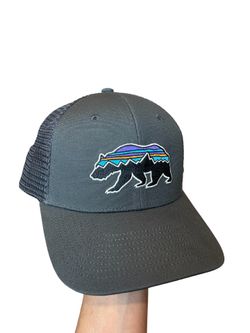 Patagonia Mens Bear Gray Hat