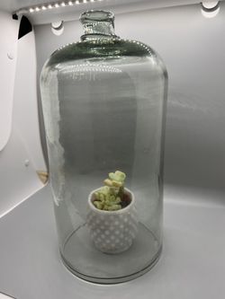 Vintage Cylinder Glass Dome
