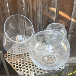 Glass Vase For Plant