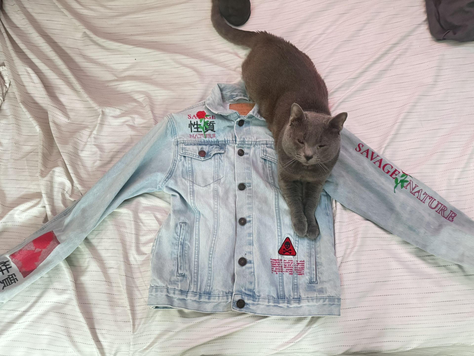 Small Size designer Jacket
