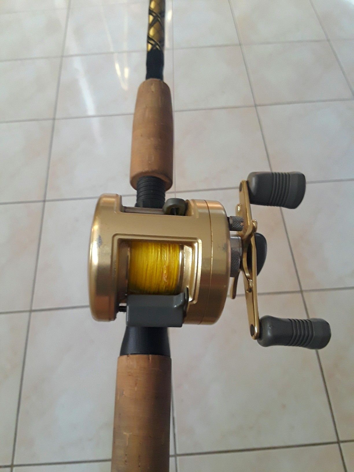 Calcutta 250 Reel/Chaos Rod Combo