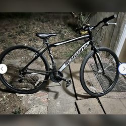 Schwimn bike