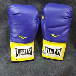 Everlast Pro Style Training Boxing Gloves Size 14oz Purple Yellow Teal