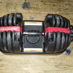 Bowflex Adjustable Dumbbell 