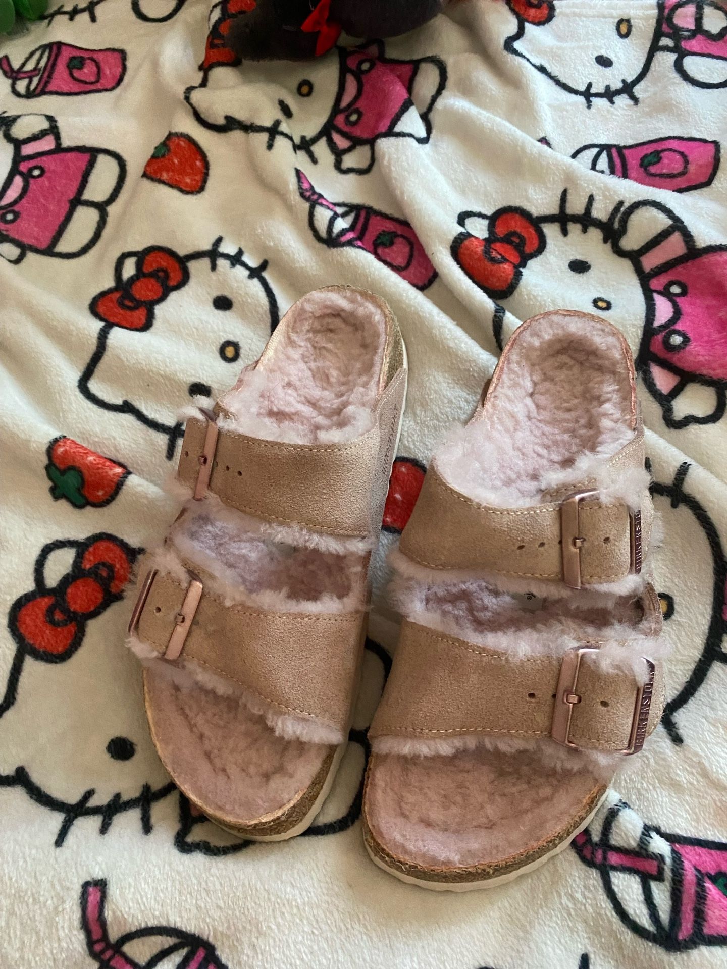Birkenstocks Arizona Shearling Sandals