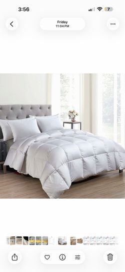 Queen Comforter