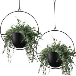 4 Piece Hanging Indoor Outdoor Planters