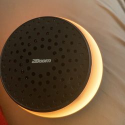 Light Up Speaker 