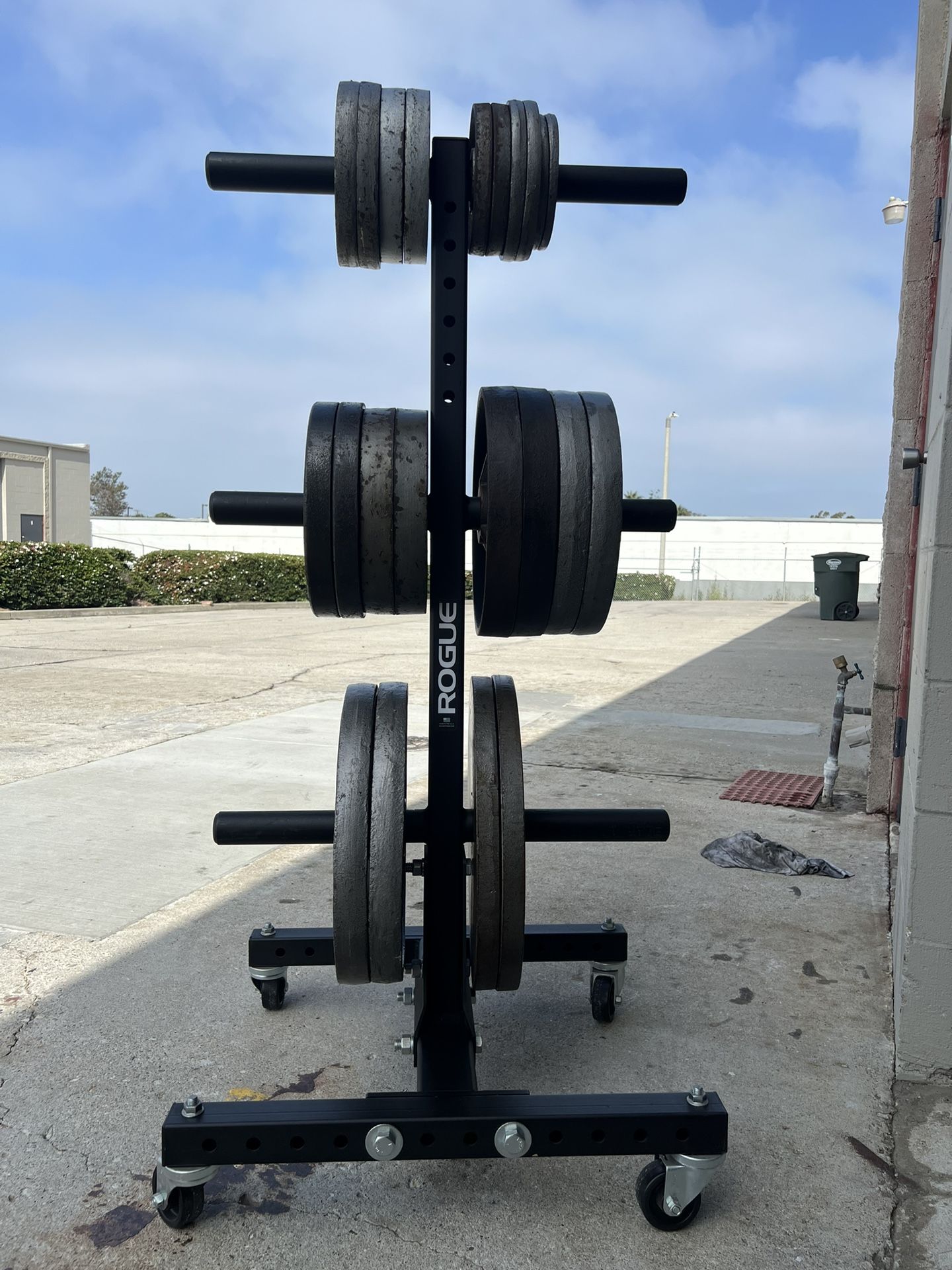 Olympic Weight Set With Rogue Vertical Weight Tree 2.0