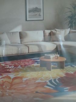 Brand new outdoor rug