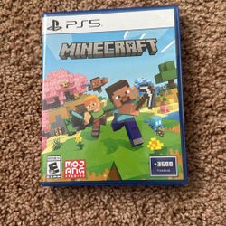 Ps5 Game Mincraft