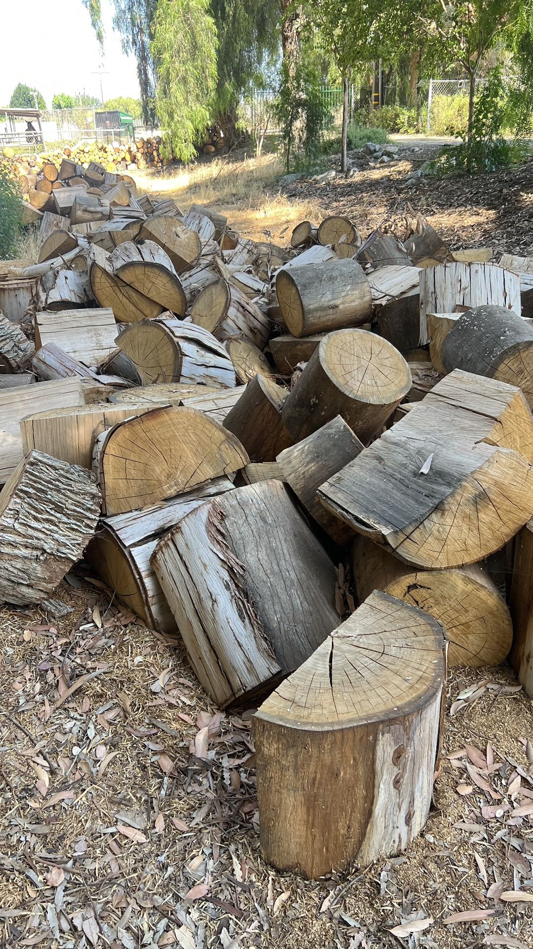 Firewood Bulk