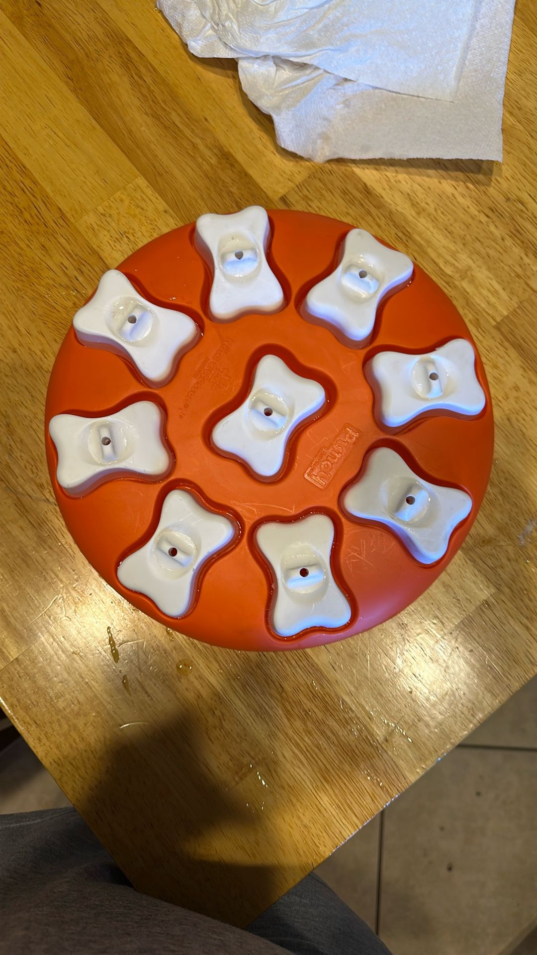 Outward Hound by Nina Ottosson Dog Smart Treat Puzzle Enrichment Toy, Level 1 Beginner, Orange