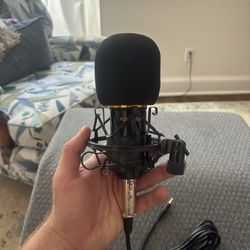 Studio Microphone/Recording Microphone