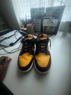Dunks 9.5