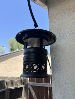 Dyno Traps