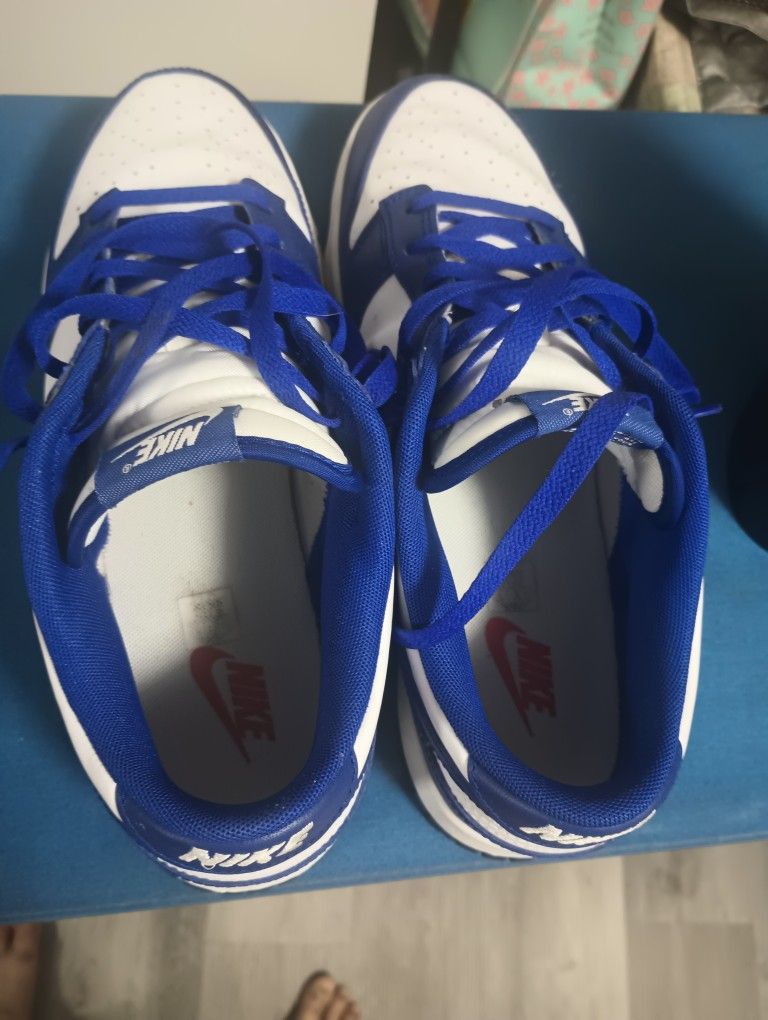 Purple Nike Dunks 10.5