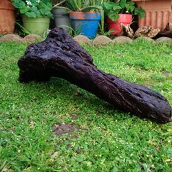 Natural Driftwood For Aquariums Terrariums Decor 