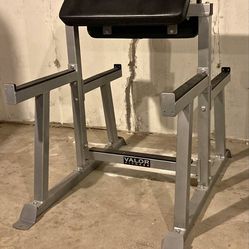 Preacher curl bench (Valor futness)
