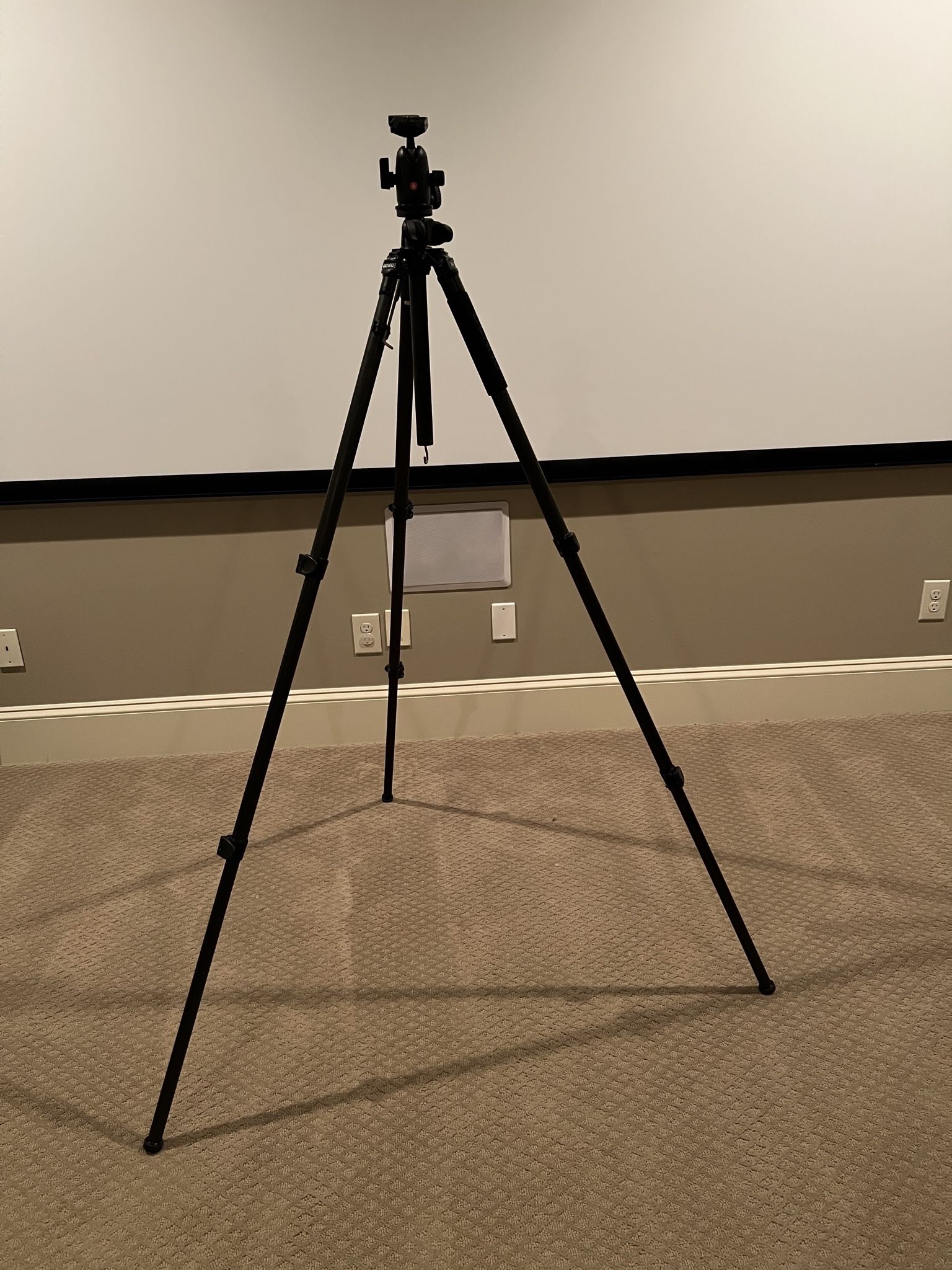 Benro C-297EX Carbon Fiber Tripod With Manfrotto 498RC-2 Ballhead.