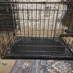 Dog Kennel 