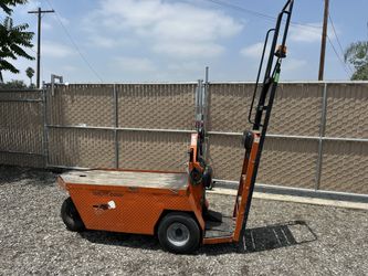 2008 Taylor Dunn Stockchaser 