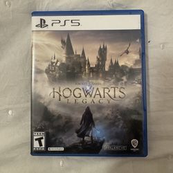Ps5 Hogwarts Legacy 