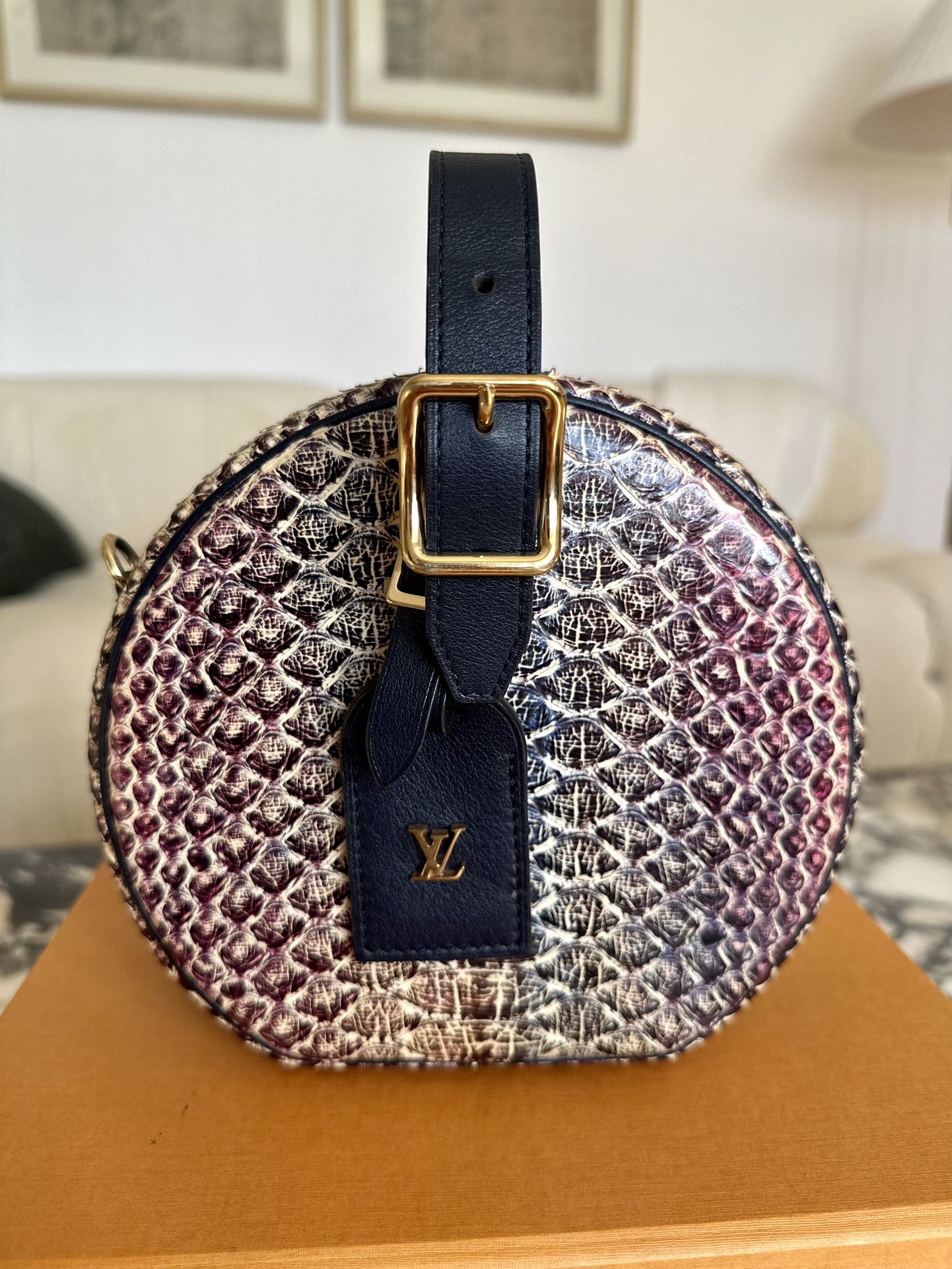 Louis Vuitton Petite Boite Chapeau Python LV Pop Rainbow/Black in  Python/Calf Leather with Gold-tone - US
