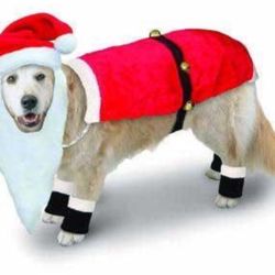 High Quality Santa Clause Suit for Large Dogs. Great Christmas costume or outfit Clothes for your puppy