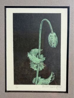 Signed Limited Edition Botanical Print Framed
