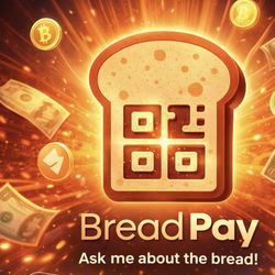 Bread Pay & Prog Leasing