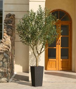 Pretty artificial plant with Olive  🫒 8 ft tall with tall planter! Brand new