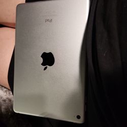 Apple Ipad mini 4