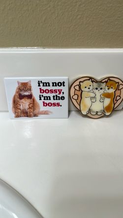Cat 🐈 magnets for the fridge rare / Mofusand