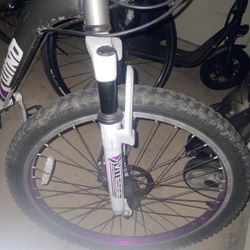 Vintage Genesis Mountain Bike