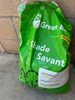 Grass seed for shade