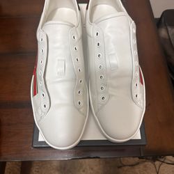 Gucci Ace Sneakers 