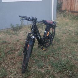 Axiniu ELECTRIC E-BIKE