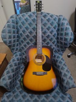 Rogue Dreadnought Guitar