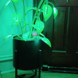 Custom Led Glow Plant