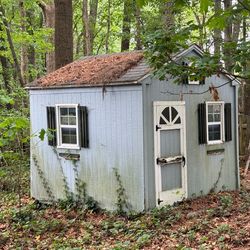 Shed 6ft x12ft