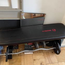 Workout Bench And Curl Bar