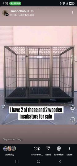 2 XL DOG KENNELS
