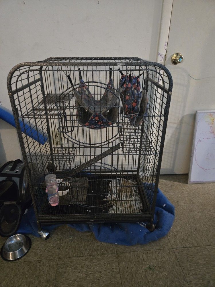 Ferret Cage